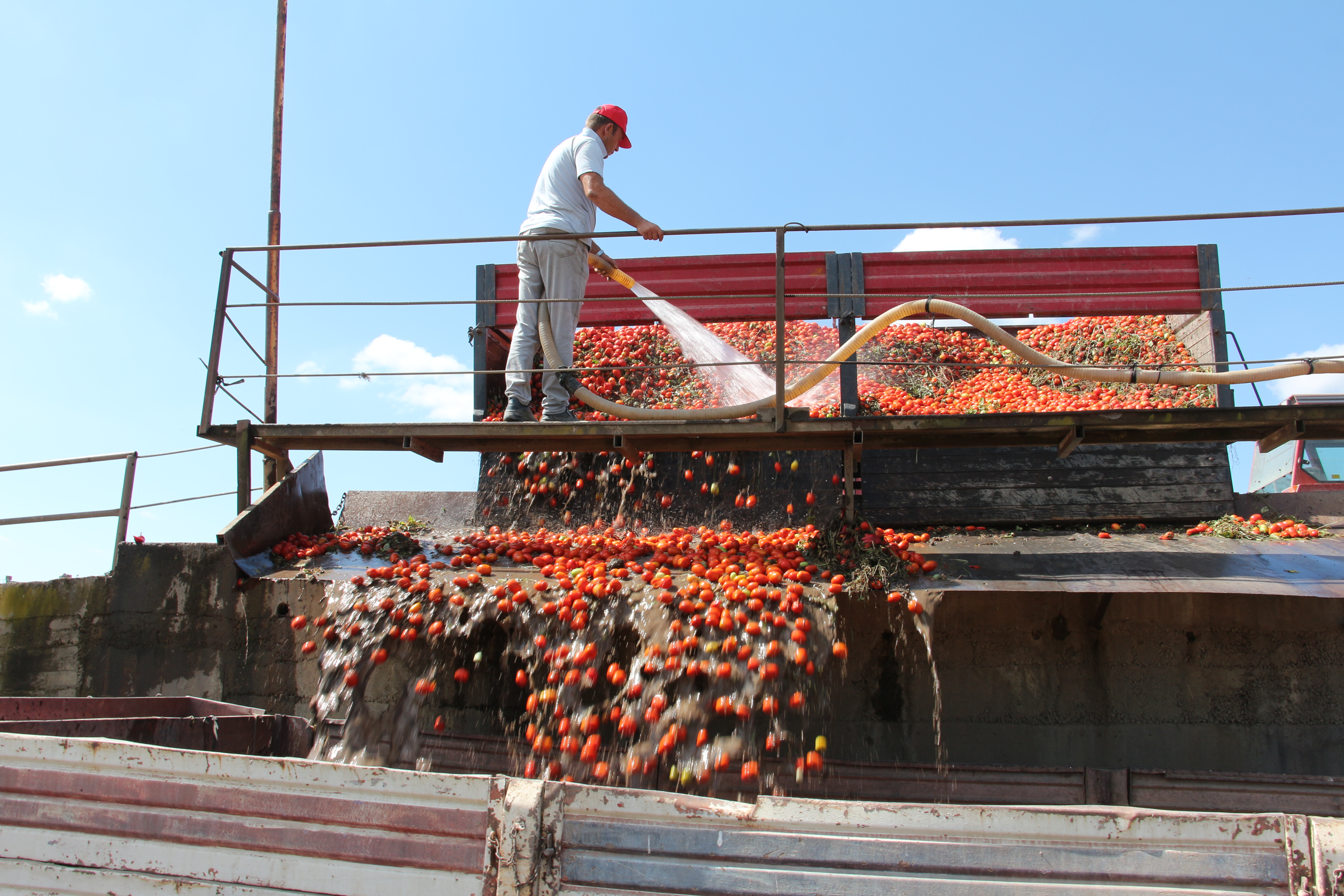 BDOMATES ALIMLARIMIZ BAŞLADI